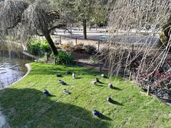 Park in Santiago de Compostela, Spain with green grass and trees under a clear sky