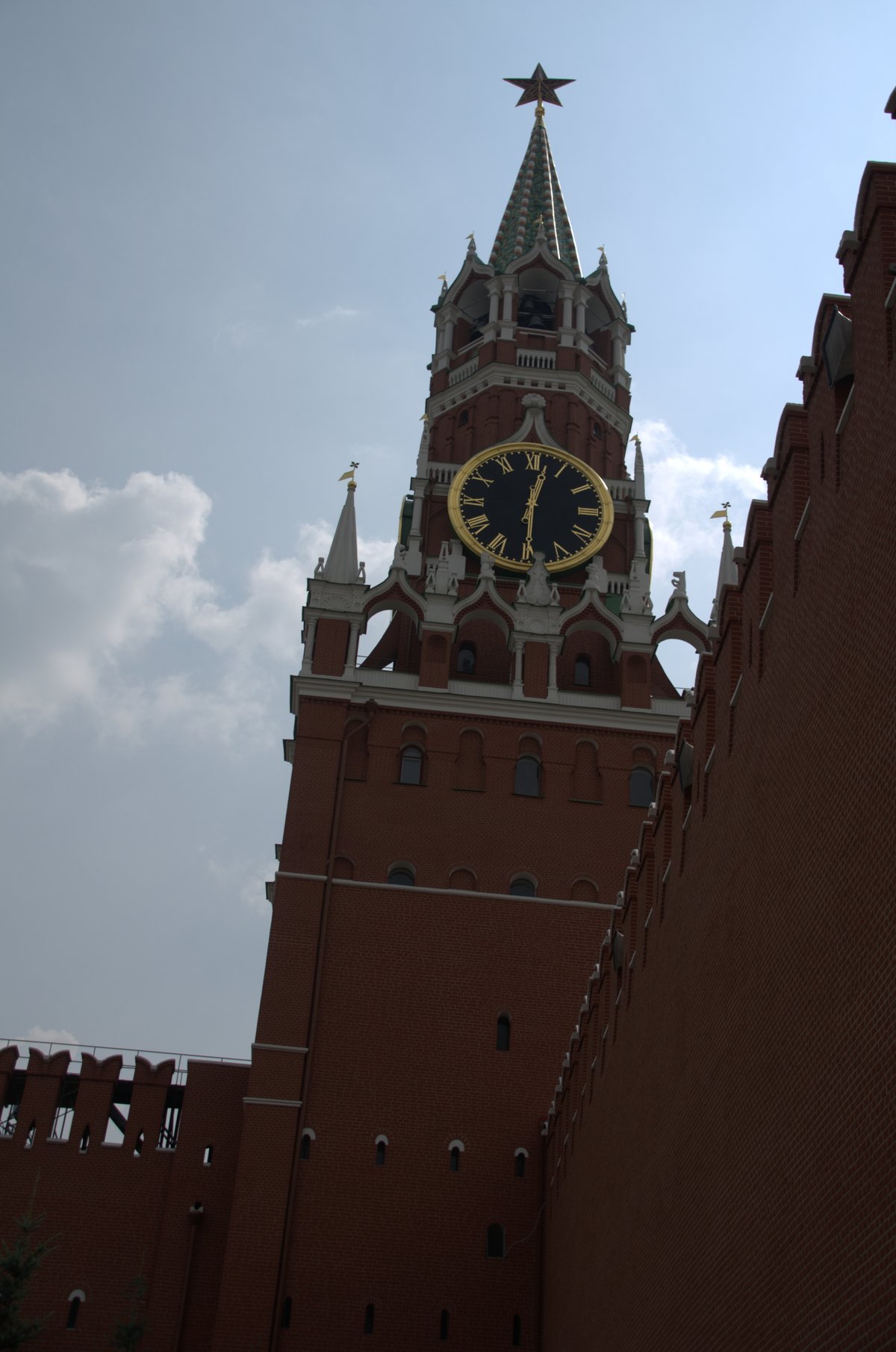 People gathered in Moscow on 27th of July 2016 for a public event