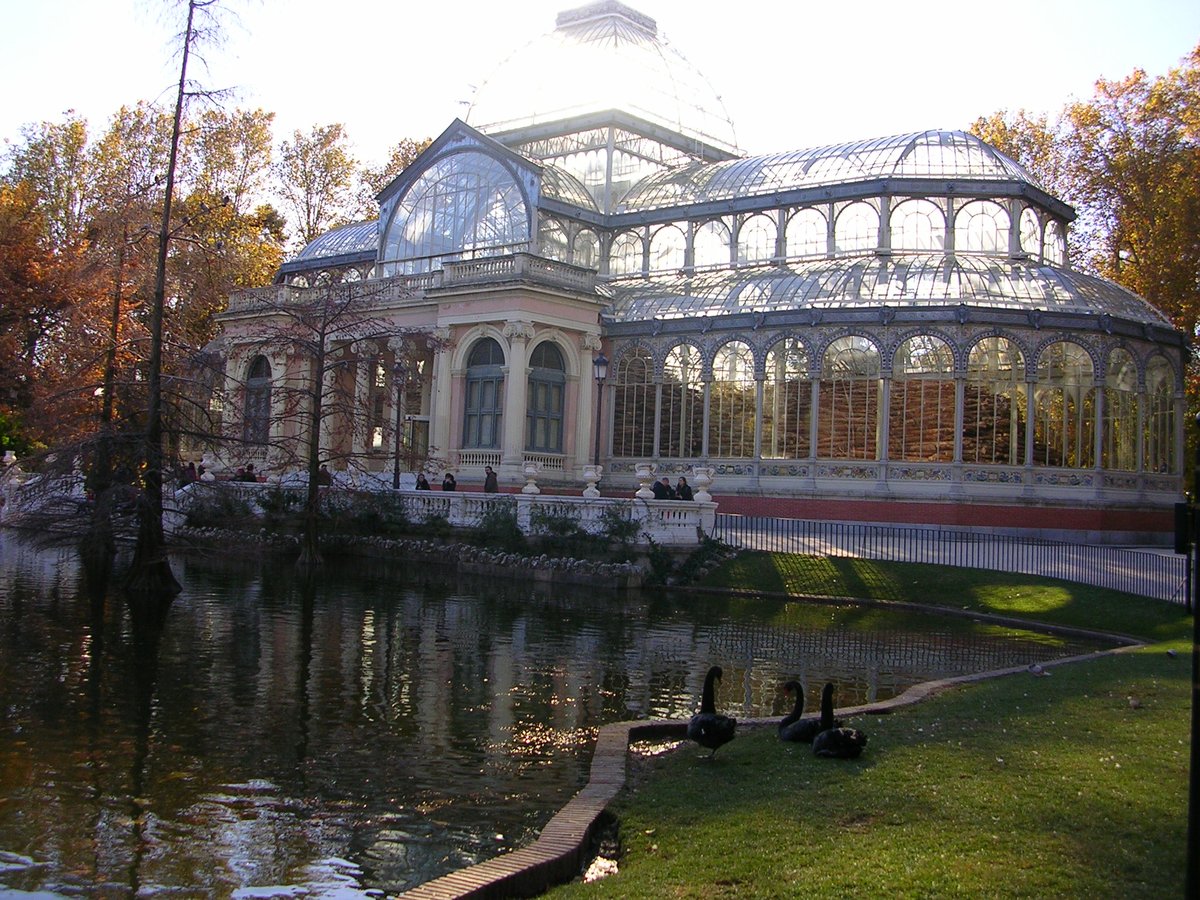 Andy Goldsworthy art exhibition 'En las entrañas del árbol' at Palacio de Cristal, Parque El Retiro, Madrid