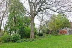 Leopold Park in Brussels with lush green trees and a calm walking path