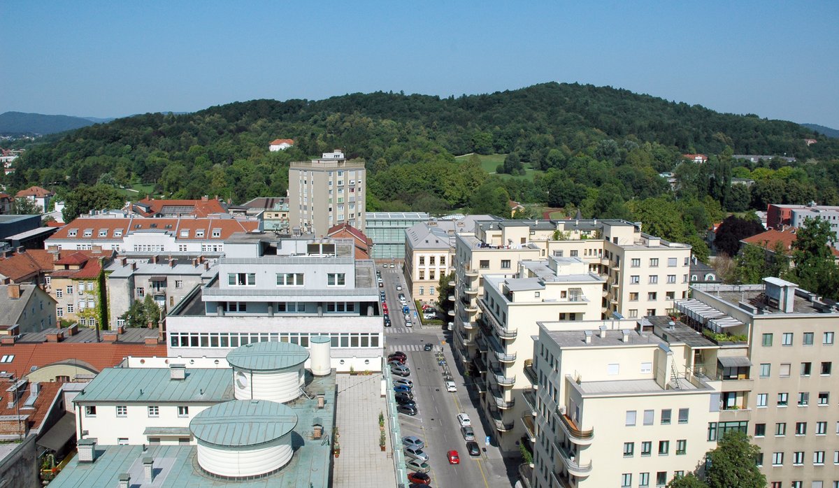 View of Rožnik and Tivoli Park from Nebotičnik in Ljubljana park and cityscape 2013