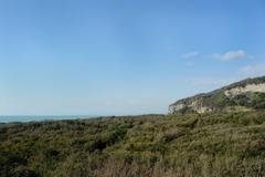 Beach and forest in the archaeological park of Cuma