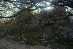 Ancient Roman structure 'Il Faro' in Cumae forest