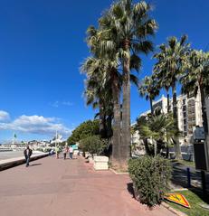 Promenade de La Croisette in Cannes with palm trees and paved walkway in April 2023