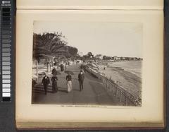 People strolling on the palm-tree lined Boulevard de la Croisette in Cannes around 1870-1900