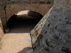 View of Fossat de les Torres de Serrans moat
