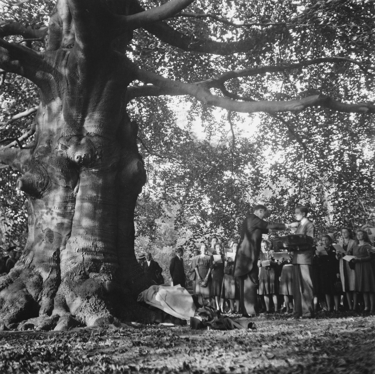 Conductor and Leidsch Studenten Zangkoor choir under large beech tree in Hortus Leiden 1945