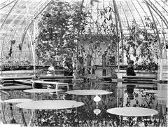 Hortus Botanicus Leiden