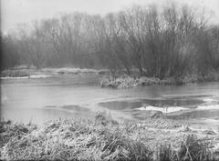Panoramic view of Stadtpark Hamburg in Winterhude with green landscapes and walking paths