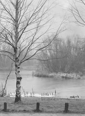 Stadtpark Hamburg Winterhude scenic landscape with trees and pathways