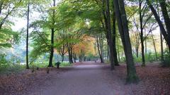 Autumn trees in Hamburg Stadtpark with vibrant fall foliage