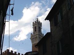 View of Torre del Mangia in Siena from Via Duprè