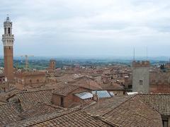 Roofs of buildings in Siena with Torre del Mangia tower on the left