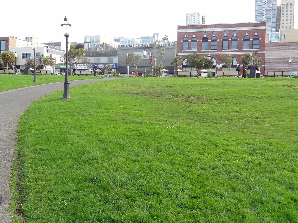 Aquatic Park with waterfront view and promenade