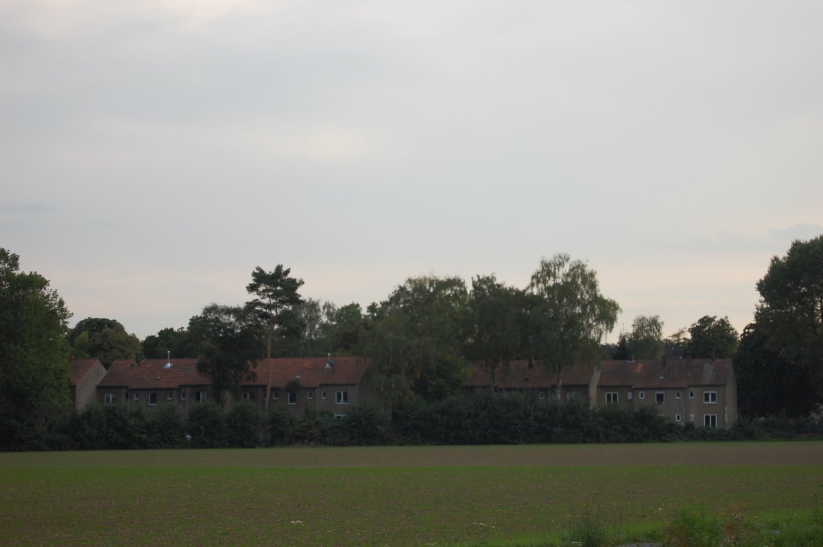 View of Mau-Mau-Siedlung housing area in Köln-Dünnwald before renovation