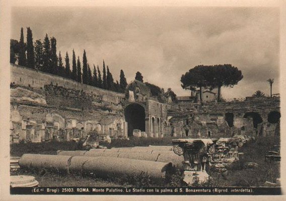 Ancient Roman stadium with palm tree on Palatine Hill