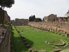 View of Palatine Hill with ancient ruins and greenery in Rome, Italy