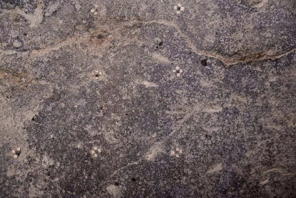 Detailed flooring in Room 'f' at House of Marcus Lucretius Fronto, Pompeii