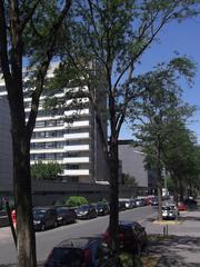 Robert-Koch-Straße in Köln-Lindenthal featuring Frauenklinik and ZMMK buildings