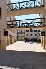 Pathway between student housing buildings with skybridges in Summit Village