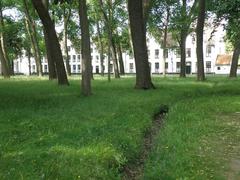West side courtyard of Begijnhof in Brugge with historic brick buildings