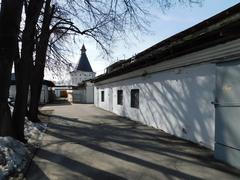 Novospassky Monastery with its historic buildings and golden domes under a blue sky