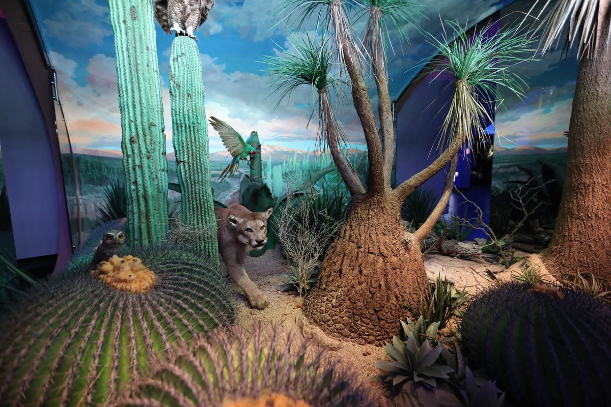 Exterior view of Museo de Historia Natural de la Ciudad de México with modern architectural design