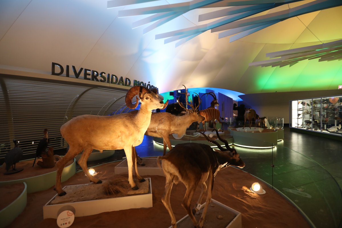 Exterior view of Museo de Historia Natural de la Ciudad de México building with modern architectural design