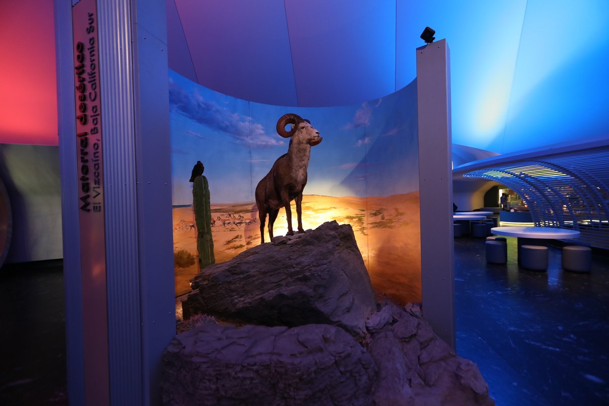 Exterior view of Museo de Historia Natural de la Ciudad de México building