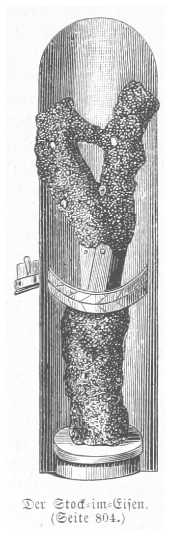 The Stock im Eisen, an ancient tree trunk with numerous embedded nails, displayed in Vienna