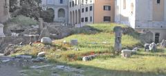 Ruins of the podium of the Temple of Bellona near the Theatre of Marcellus in Rome