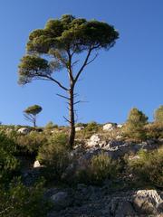 Calanques National Park