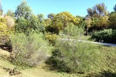 General view of Jardín Botánico de Barcelona on Montjuïc hill with lush greenery and pathways