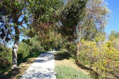 General view of Jardin Botanico de Barcelona with Montjuic hill in the background