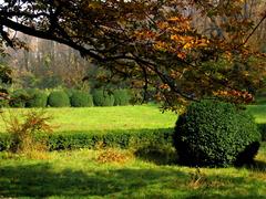 Scenic view of Bucharest Botanical Garden with lush greenery and vibrant flowers