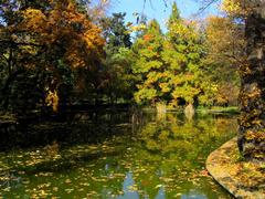 Lake at Bucharest Botanical Garden with lush green trees and a clear blue sky