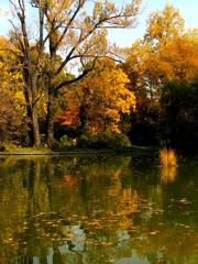 Scenic lake in Bucharest Botanical Garden with surrounding greenery and a blue sky
