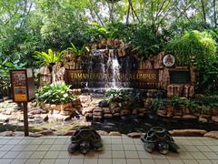 Man-made waterfall beside ticketing counter at Kuala Lumpur Bird Park