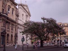 Paulownia tomentosa tree with purple flowers near Chiesa Nuova in Rome