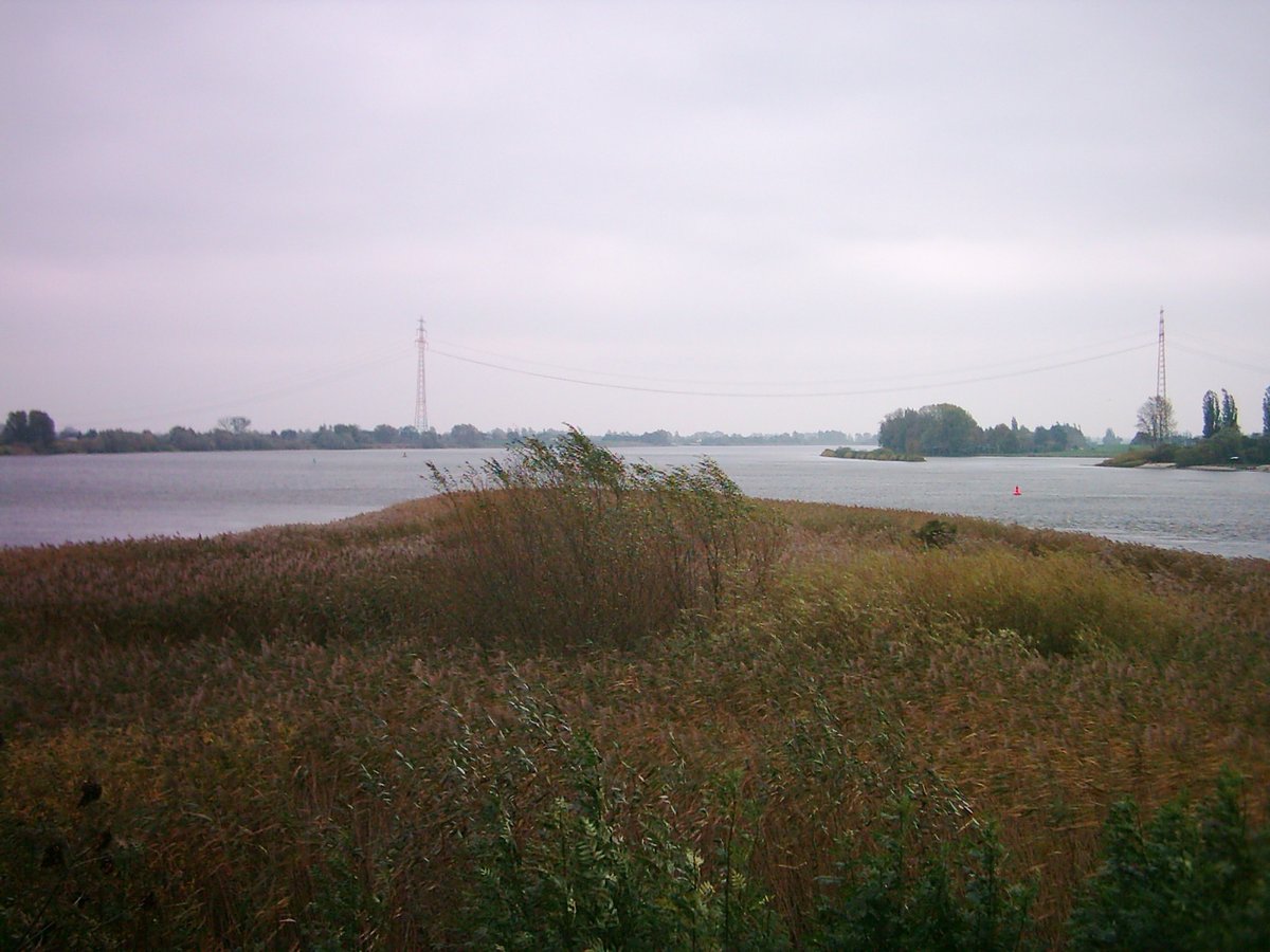 Scenic view of Bunthäuser Spitze at the southeastern boundary of Wilhelmsburg Island where Elbe river divides into Norderelbe and Süderelbe