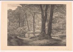 Lithographic print of the Hunnenschans forest on the Veluwe with a man lying at the base of two trees