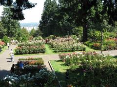 International Rose Test Garden