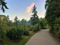 A vibrant view of the Portland International Rose Test Garden with colorful blooming roses in autumn