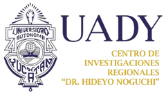 Autonomous University Of Yucatán
