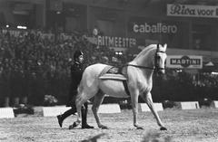 Two riders from the Spanish Riding School in Vienna performing at Jumping Amsterdam event in RAI, 1970