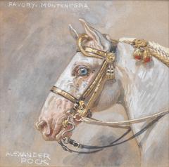 Head of a bridled Lipizzaner horse named Favory Montenegra in watercolor