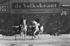 Two riders of the Spanish Riding School from Vienna performing at Jumping Amsterdam in RAI, 1970