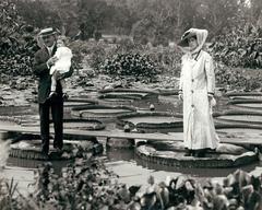 Woman and man holding child standing on Victoria Regina water lilies in Tower Grove Park