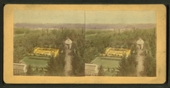 View of Tower Grove Park from the Residence with trees and greenery