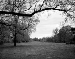 View looking east in Tower Grove Park South of Southeast Drive St Louis Missouri